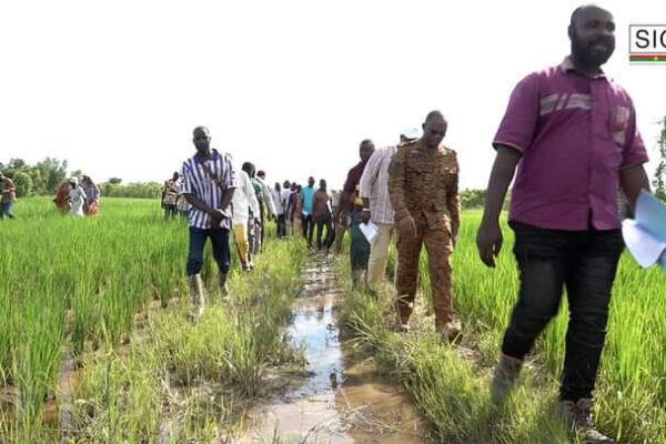 Le ministre en charge de l'Agriculture a effectué une visite des exploitations agricoles dans la région du Centre-Est, 11 au 13 septembre 2024