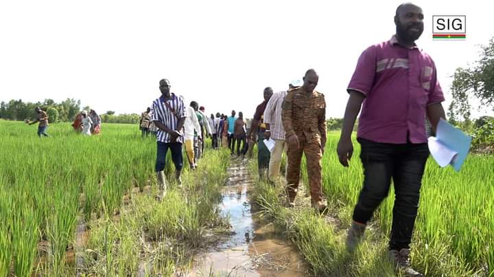 Le ministre en charge de l'Agriculture a effectué une visite des exploitations agricoles dans la région du Centre-Est, 11 au 13 septembre 2024