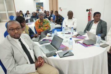 Les participants lors de la cérémonie de lancement de la table ronde organisé par ABBOTT pour les diagnostics rapides du paludisme, du VIH, de l’hépatite B et de la syphilis chez les femmes enceintes et en situation d'urgence au Burkina Faso, 24 octobre 2024